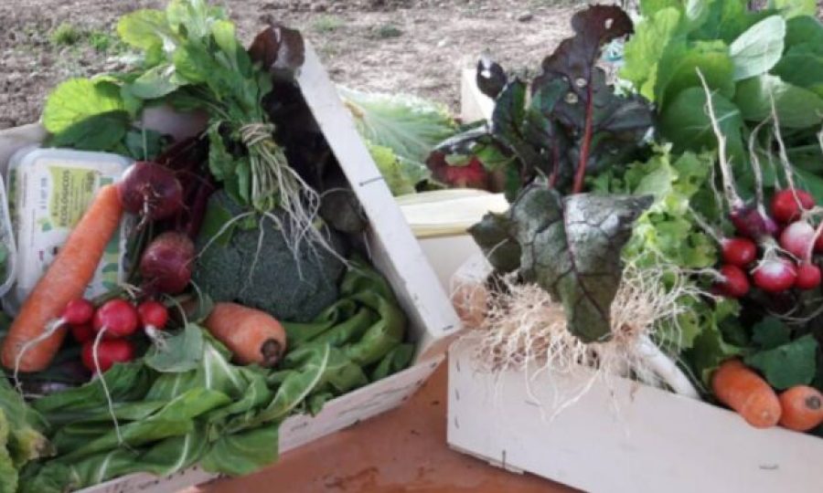 cesta-197014-1024x377